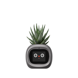 Smart Flower Pot