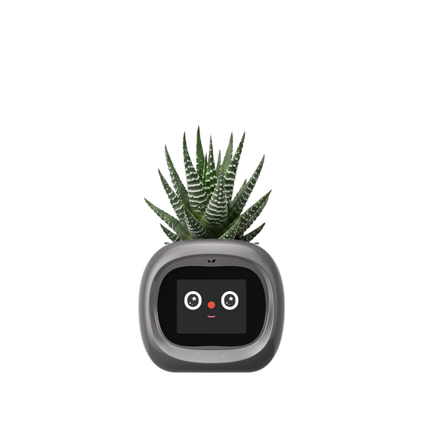 Smart Flower Pot
