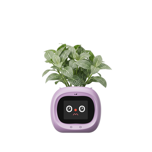Smart Flower Pot