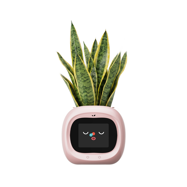 Smart Flower Pot