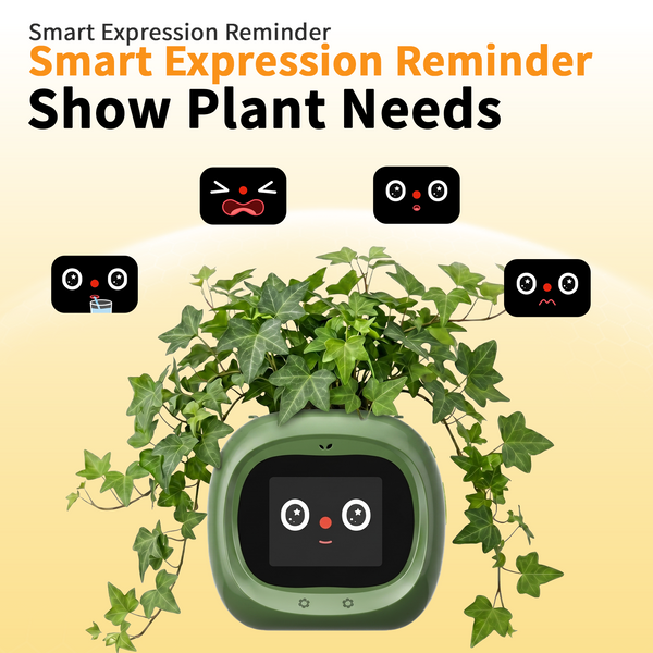 Smart Flower Pot