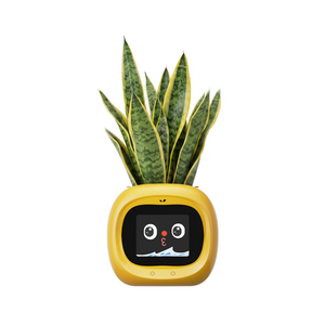 Smart Flower Pot