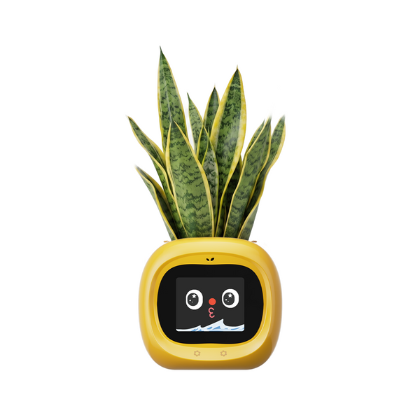 Smart Flower Pot