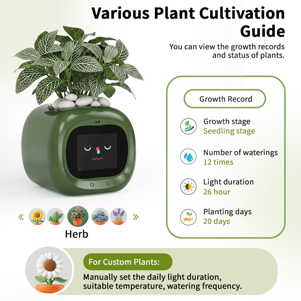 Smart Flower Pot