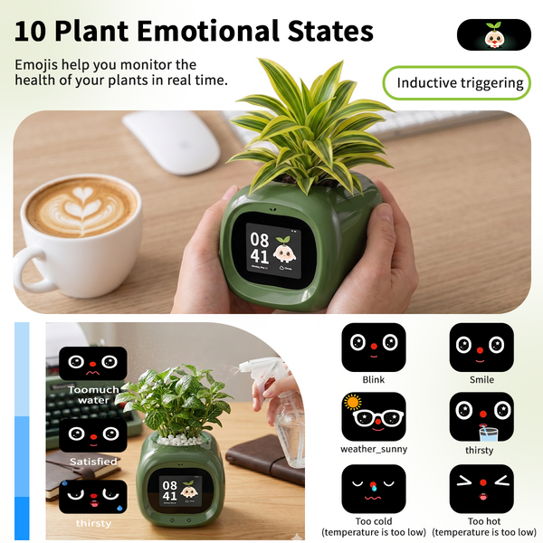 Smart Flower Pot